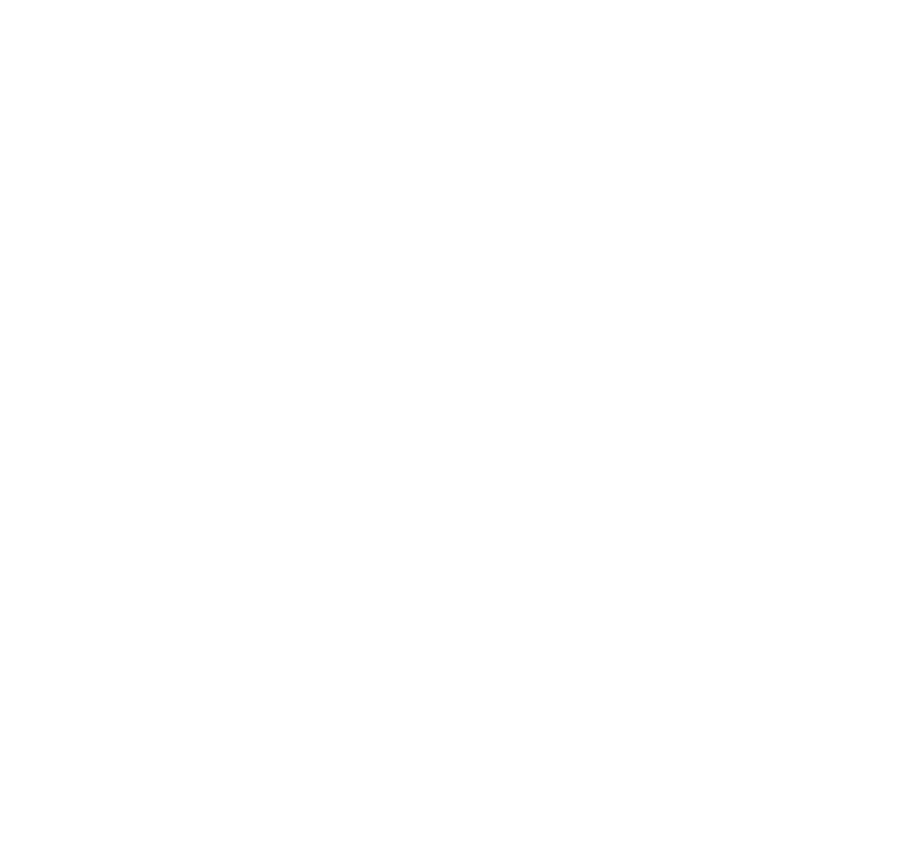 North Star Fund logo in white